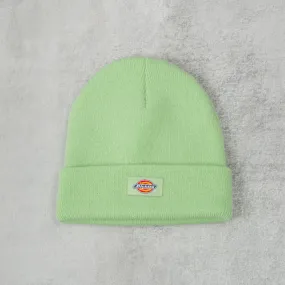 Dickies Gibsland Beanie - Quiet Green