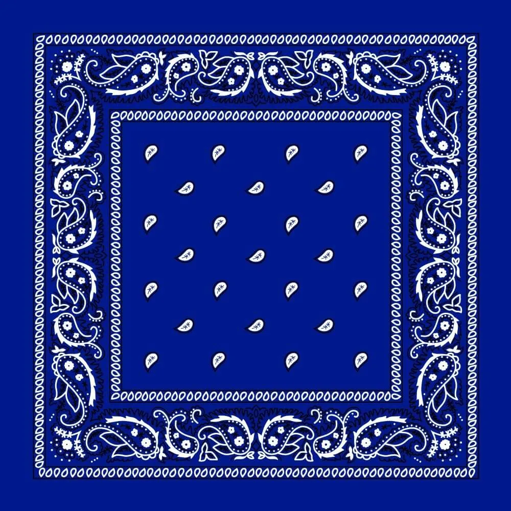 12 Pack Cotton Bandana Paisley Headbands Cowboy Multi-Color Bandana Handkerchiefs