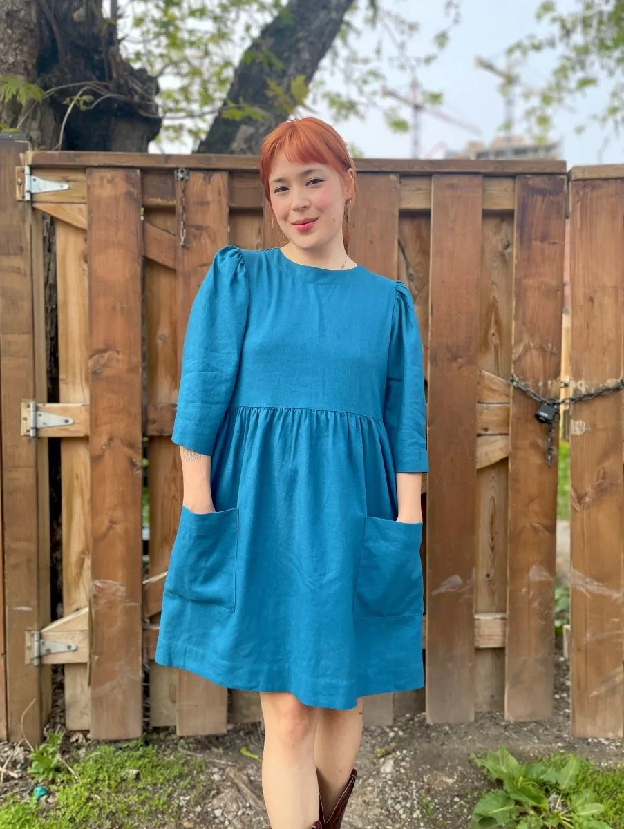 Birds of North America Chimney Swift Dress - Ocean (Online Exclusive)