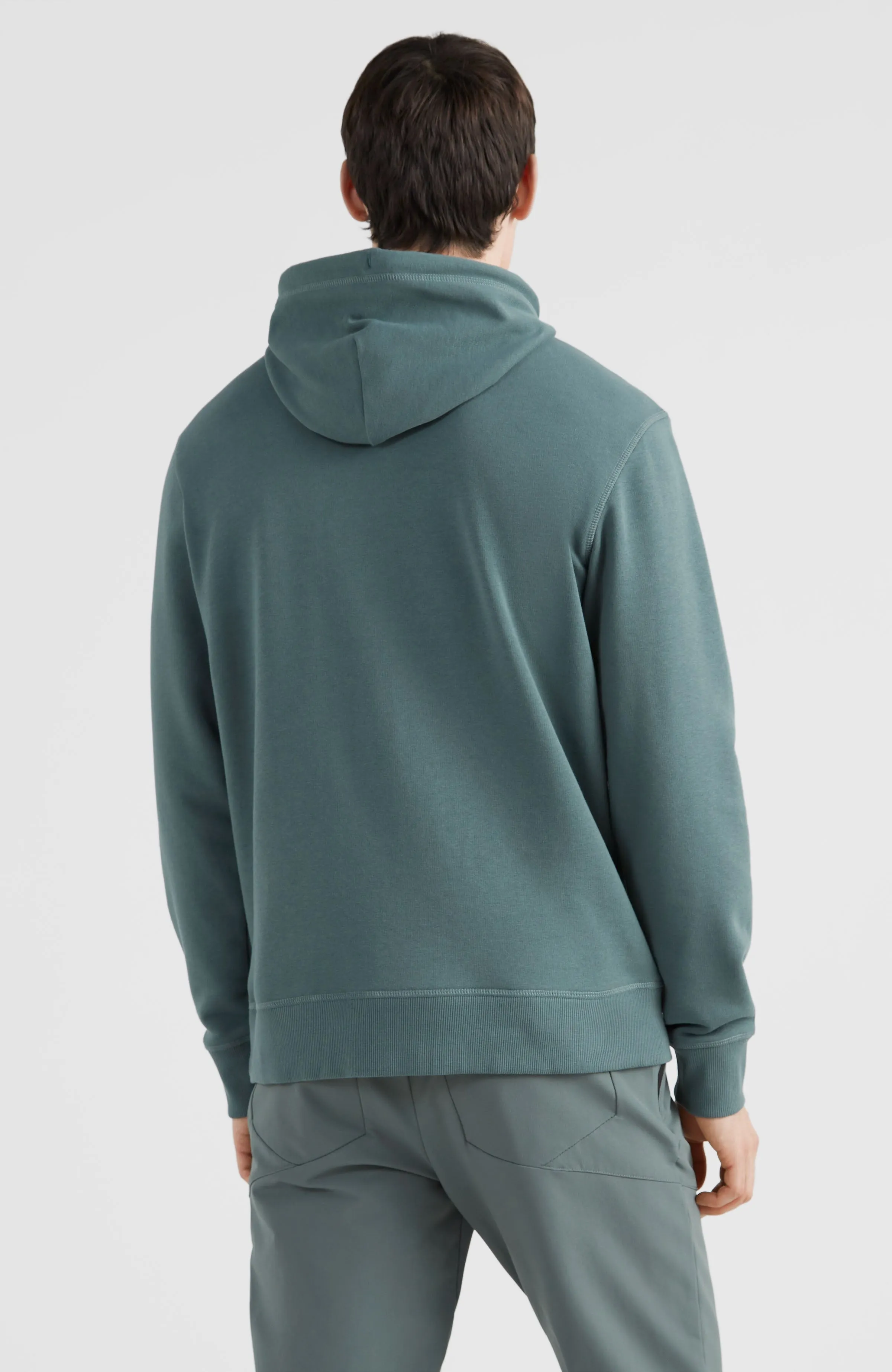 Circle Surfer Hoodie | Balsam Green