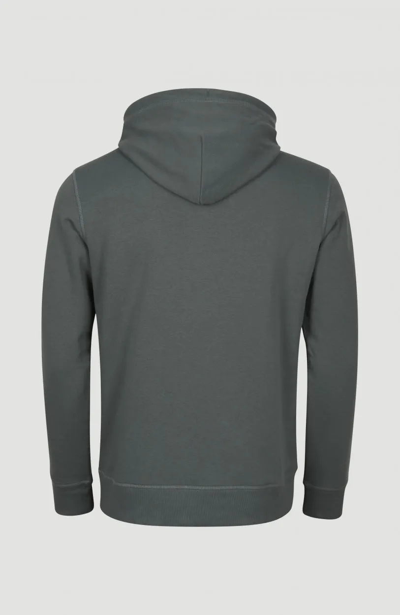 Circle Surfer Hoodie | Balsam Green