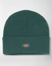 Dickies Beanie Dark green