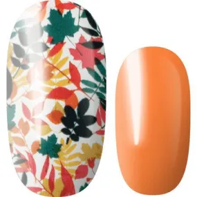 Lily and Fox - Nail Wrap - Orange Blossom