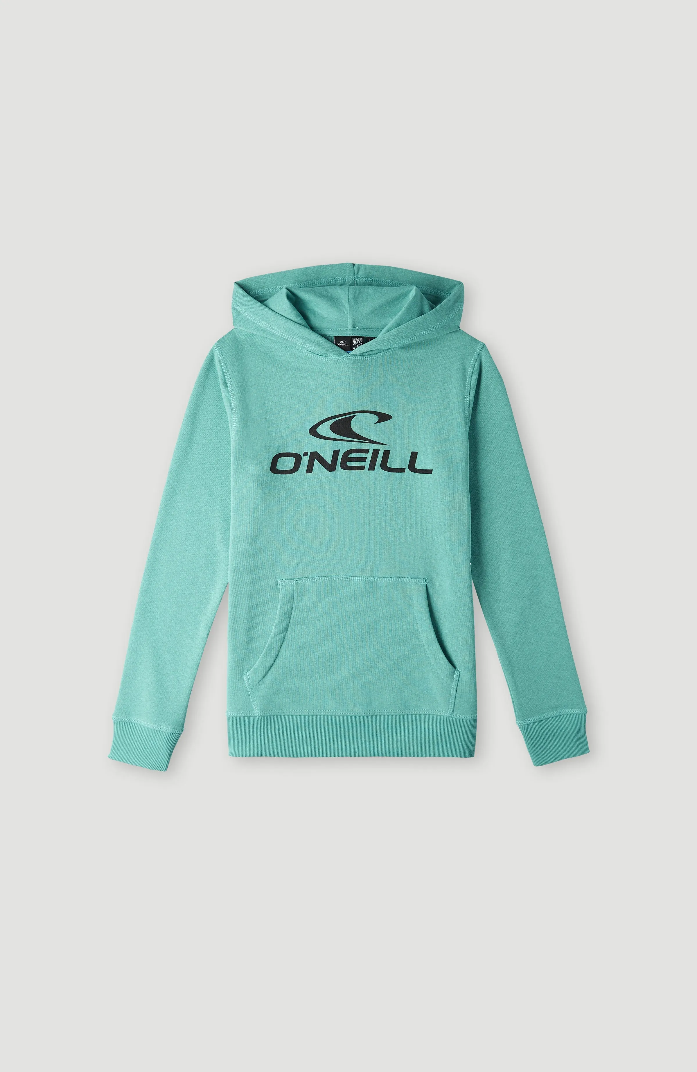 O'Neill Logo Hoodie | Sea Green