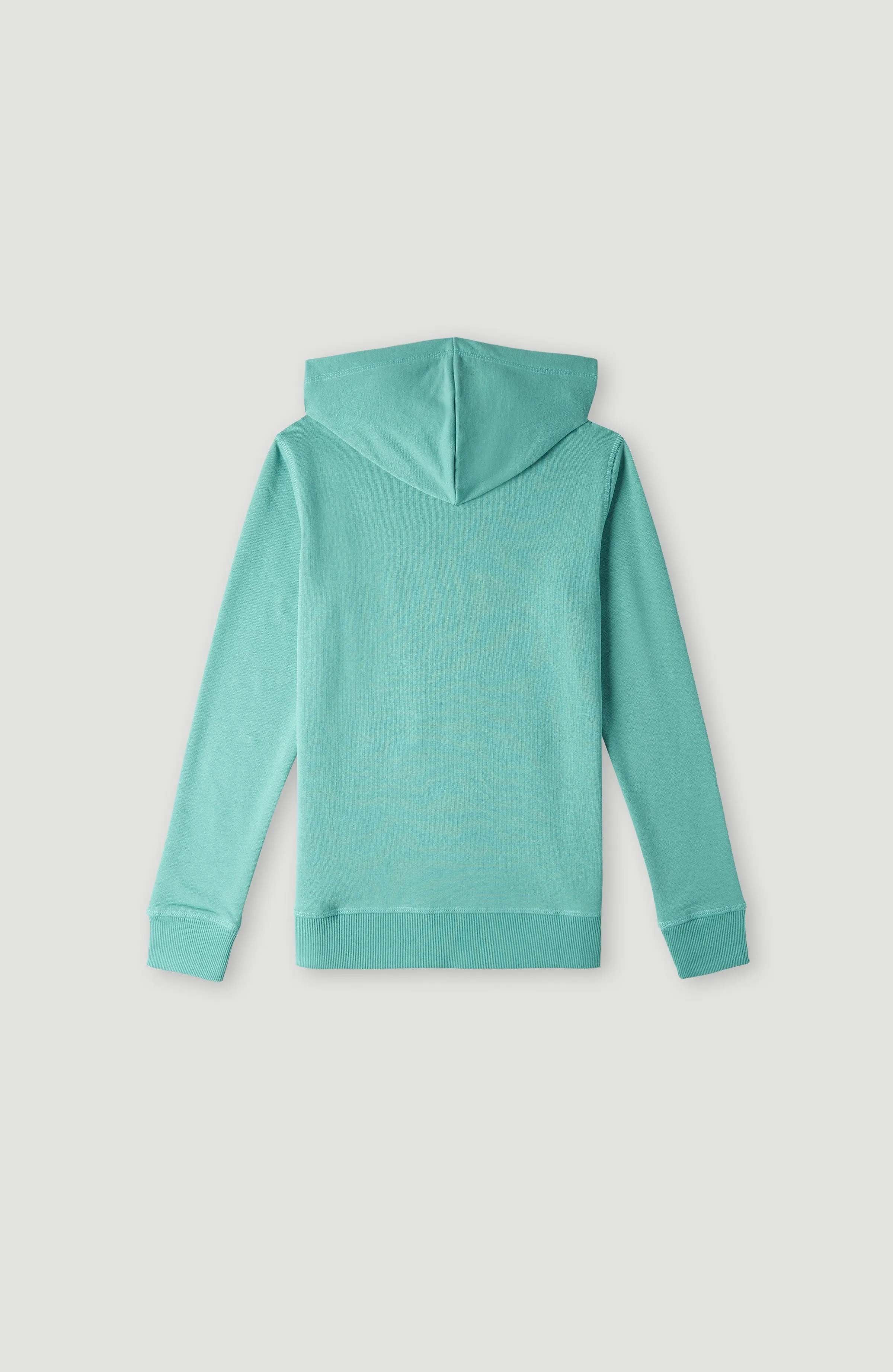 O'Neill Logo Hoodie | Sea Green